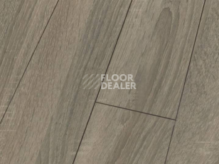 Ламинат Falquon Blue Line Wood 8mm D4186 SONOMA OAK фото 1 | FLOORDEALER